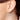 Silver Earring