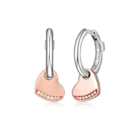 Silver Earring