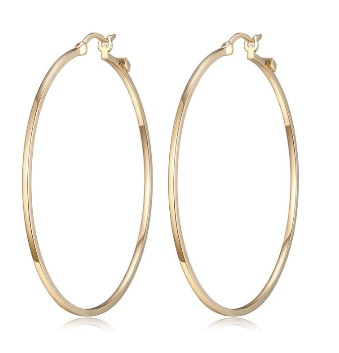 Silver Earring
