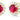 Colored Stone Earring